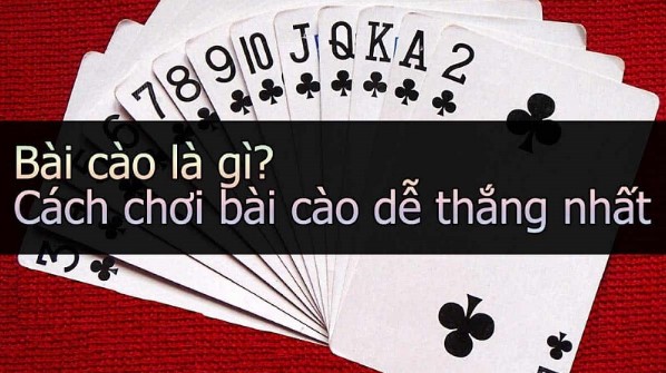 Giới thiệu về bài cào