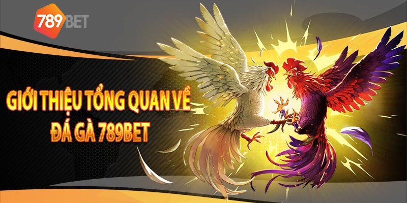 Giới thiệu về đá gà 789bet